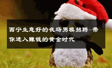 西宁生意好的夜场男模招聘-带你进入赚钱的黄金时代 