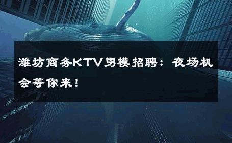 潍坊商务KTV男模招聘：夜场机会等你来！ 