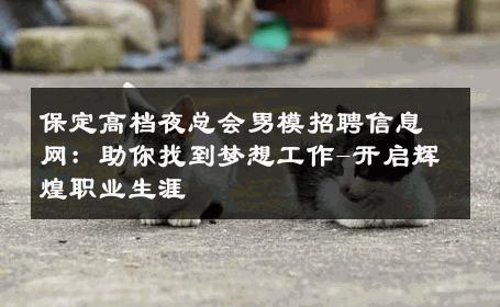 保定高档夜总会男模招聘信息网：助你找到梦想工作-开启辉煌职业生涯 