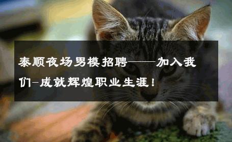 泰顺夜场男模招聘——加入我们-成就辉煌职业生涯！ 