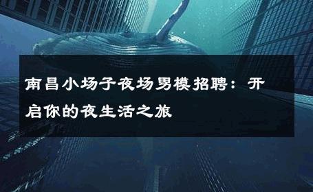 南昌小场子夜场男模招聘：开启你的夜生活之旅 