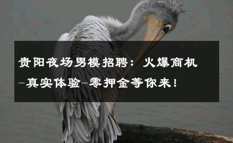 贵阳夜场男模招聘：火爆商机-真实体验-零押金等你来！ 