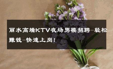 丽水高端KTV夜场男模招聘-轻松赚钱-快速上岗！ 