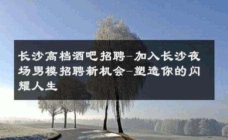 长沙高档酒吧招聘-加入长沙夜场男模招聘新机会-塑造你的闪耀人生 