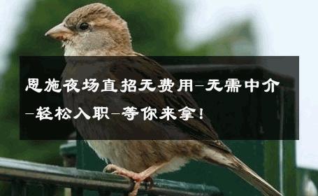 恩施夜场直招无费用-无需中介-轻松入职-等你来拿！ 