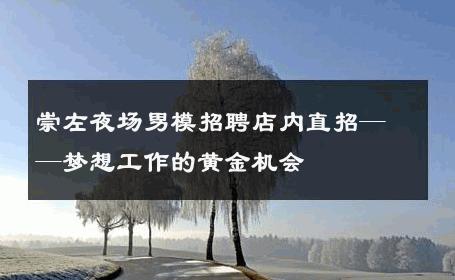 崇左夜场男模招聘店内直招——梦想工作的黄金机会 