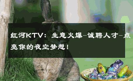 红河KTV：生意火爆-诚聘人才-点亮你的夜空梦想！ 
