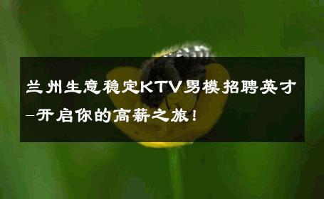 兰州生意稳定KTV男模招聘英才-开启你的高薪之旅！ 