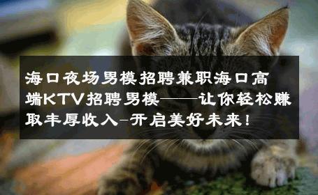 海口夜场男模招聘兼职海口高端KTV招聘男模——让你轻松赚取丰厚收入-开启美好未来！ 