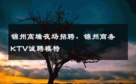 锦州高端夜场招聘，锦州商务KTV诚聘模特