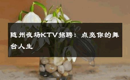 随州夜场KTV招聘：点亮你的舞台人生 