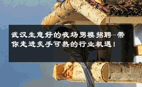 武汉生意好的夜场男模招聘-带你走进炙手可热的行业机遇！ 