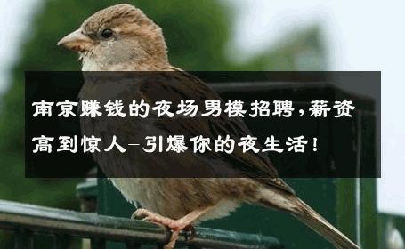 南京赚钱的夜场男模招聘,薪资高到惊人-引爆你的夜生活！ 