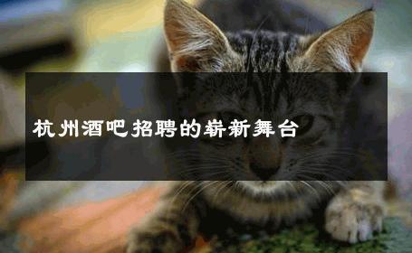 杭州酒吧招聘的崭新舞台 