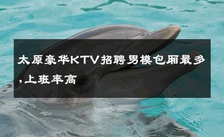 太原豪华KTV招聘男模包厢最多,上班率高 