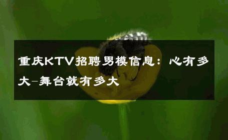 重庆KTV招聘男模信息：心有多大-舞台就有多大 