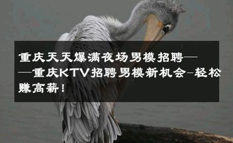 重庆天天爆满夜场男模招聘——重庆KTV招聘男模新机会-轻松赚高薪！ 