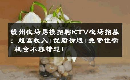 赣州夜场男模招聘KTV夜场招募！超高收入+优质待遇+免费住宿-机会不容错过！ 