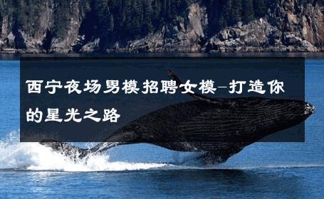 西宁夜场男模招聘女模-打造你的星光之路 