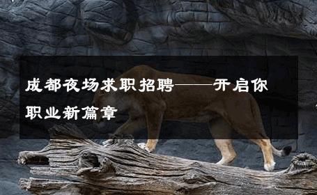 成都夜场求职招聘——开启你职业新篇章 