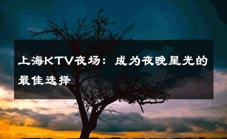 上海KTV夜场：成为夜晚星光的最佳选择 