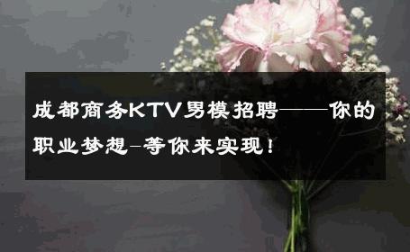 成都商务KTV男模招聘——你的职业梦想-等你来实现！ 