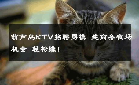 葫芦岛KTV招聘男模-纯商务夜场机会-轻松赚！ 