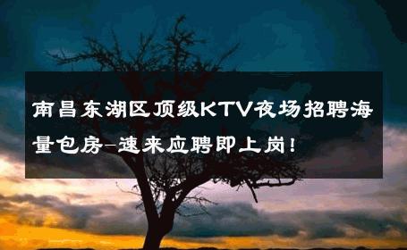 南昌东湖区顶级KTV夜场招聘海量包房-速来应聘即上岗！ 