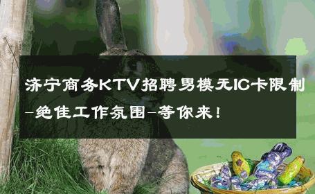 济宁商务KTV招聘男模无IC卡限制-绝佳工作氛围-等你来！ 
