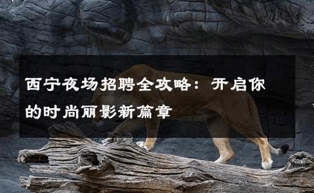 西宁夜场招聘全攻略：开启你的时尚丽影新篇章 