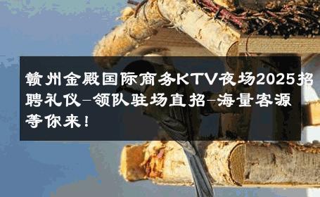 赣州金殿国际商务KTV夜场2025招聘礼仪-领队驻场直招-海量客源等你来！ 