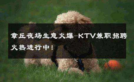 章丘夜场生意火爆-KTV兼职招聘火热进行中！ 