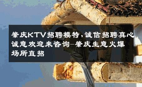 肇庆KTV招聘模特,诚信招聘真心诚意欢迎来咨询-肇庆生意火爆场所直招