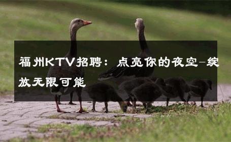 福州KTV招聘：点亮你的夜空-绽放无限可能 
