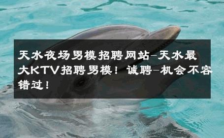 天水夜场男模招聘网站-天水最大KTV招聘男模！诚聘-机会不容错过！ 