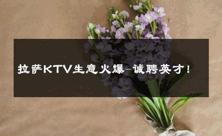 拉萨KTV生意火爆-诚聘英才！ 