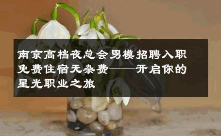 南京高档夜总会男模招聘入职免费住宿无杂费——开启你的星光职业之旅 