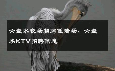 六盘水夜场招聘低端场，六盘水KTV招聘信息