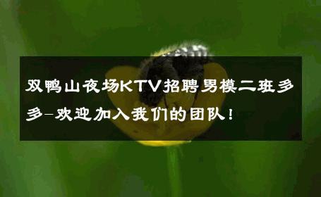 双鸭山夜场KTV招聘男模二班多多-欢迎加入我们的团队！ 