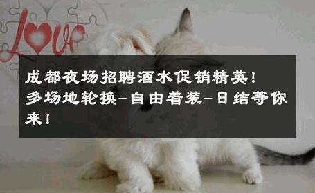 成都夜场招聘酒水促销精英！多场地轮换-自由着装-日结等你来！ 