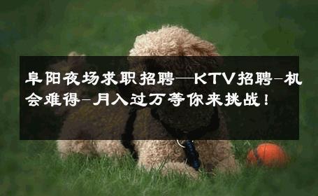 阜阳夜场求职招聘—KTV招聘-机会难得-月入过万等你来挑战！ 