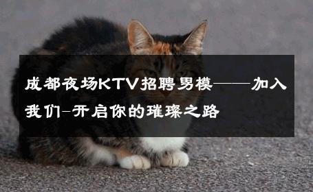 成都夜场KTV招聘男模——加入我们-开启你的璀璨之路 