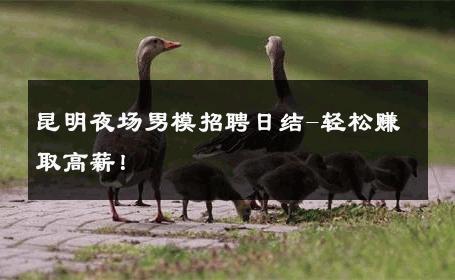 昆明夜场男模招聘日结-轻松赚取高薪！ 
