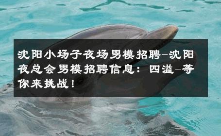 沈阳小场子夜场男模招聘-沈阳夜总会男模招聘信息：四溢-等你来挑战！ 