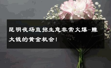 昆明夜场直招生意非常火爆-赚大钱的黄金机会！ 