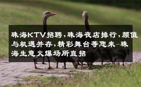 珠海KTV招聘,珠海夜店排行,颜值与机遇并存,精彩舞台等您来-珠海生意火爆场所直招
