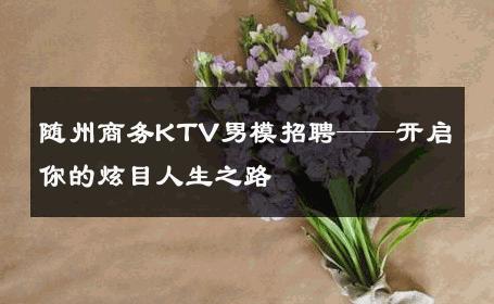 随州商务KTV男模招聘——开启你的炫目人生之路 