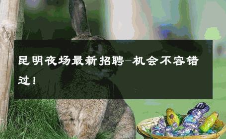 昆明夜场最新招聘-机会不容错过！ 