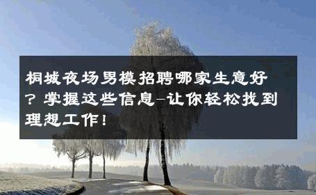 桐城夜场男模招聘哪家生意好？掌握这些信息-让你轻松找到理想工作！ 