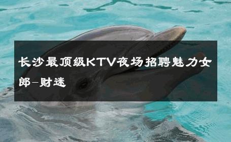 长沙最顶级KTV夜场招聘魅力女郎-财迷 